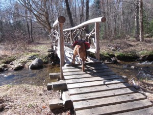 Into Siamese Wilderness Ponds